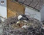Capi_Dubne_20260601_144003.jpg