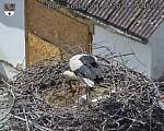 Capi_Dubne_20260601_144503.jpg
