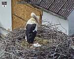 Capi_Dubne_20260601_151002.jpg