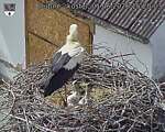 Capi_Dubne_20260601_152003.jpg