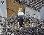 Capi_Dubne_20260601_153003.jpg