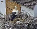 Capi_Dubne_20260601_153503.jpg