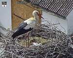 Capi_Dubne_20260601_154502.jpg