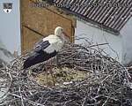 Capi_Dubne_20260601_155503.jpg
