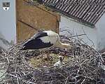 Capi_Dubne_20260601_160502.jpg