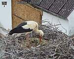 Capi_Dubne_20260601_162503.jpg