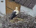 Capi_Dubne_20260601_163003.jpg