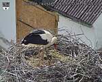 Capi_Dubne_20260601_164503.jpg