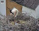 Capi_Dubne_20260601_165503.jpg