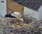 Capi_Dubne_20260601_175503.jpg