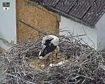 Capi_Dubne_20260601_180503.jpg