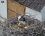 Capi_Dubne_20260601_181003.jpg