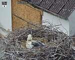 Capi_Dubne_20260601_181503.jpg