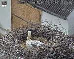 Capi_Dubne_20260601_182502.jpg