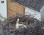 Capi_Dubne_20260601_183004.jpg