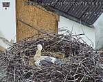 Capi_Dubne_20260601_185003.jpg