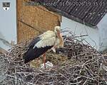 Capi_Dubne_20260601_193503.jpg