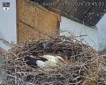 Capi_Dubne_20260601_194503.jpg