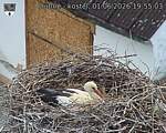 Capi_Dubne_20260601_195503.jpg
