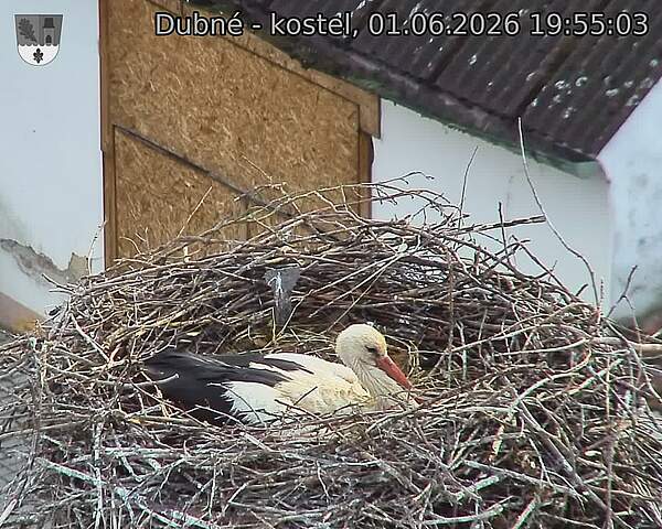 preload