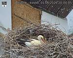 Capi_Dubne_20260601_200005.jpg