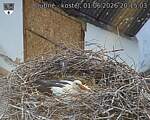 Capi_Dubne_20260601_201503.jpg