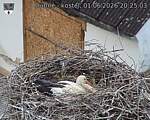 Capi_Dubne_20260601_202503.jpg