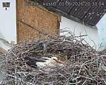 Capi_Dubne_20260601_203004.jpg