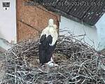 Capi_Dubne_20260601_210502.jpg