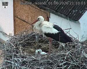 preload