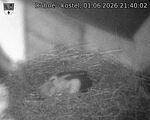 Capi_Dubne_20260601_214002.jpg