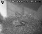 Následující