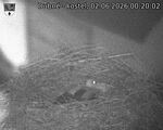 Capi_Dubne_20260602_002002.jpg