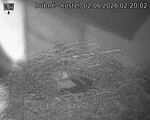 Capi_Dubne_20260602_022002.jpg