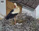 Capi_Dubne_20260602_082504.jpg