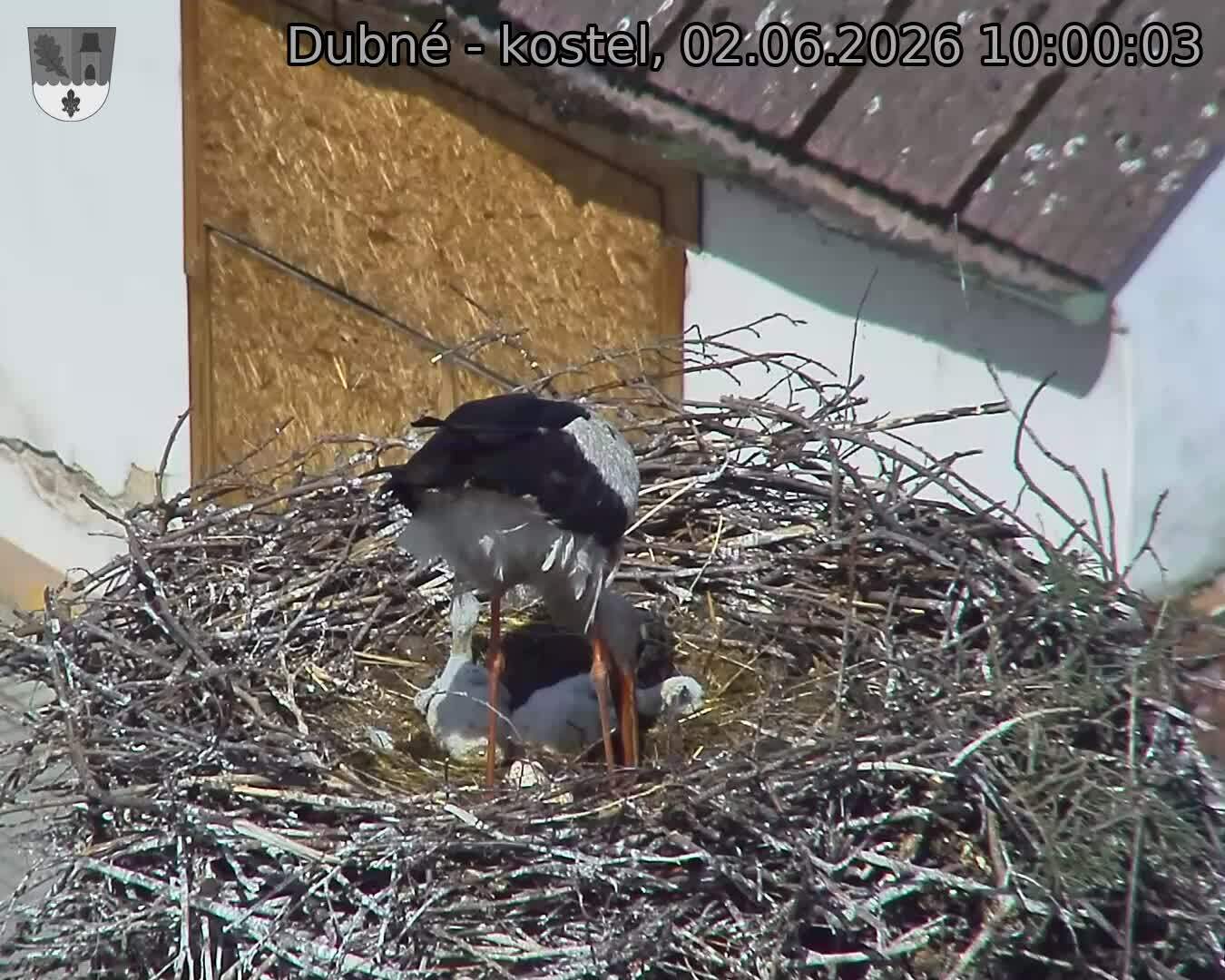 Capi_Dubne_20260602_100003.jpg (1350&nbsp;x&nbsp;1080)