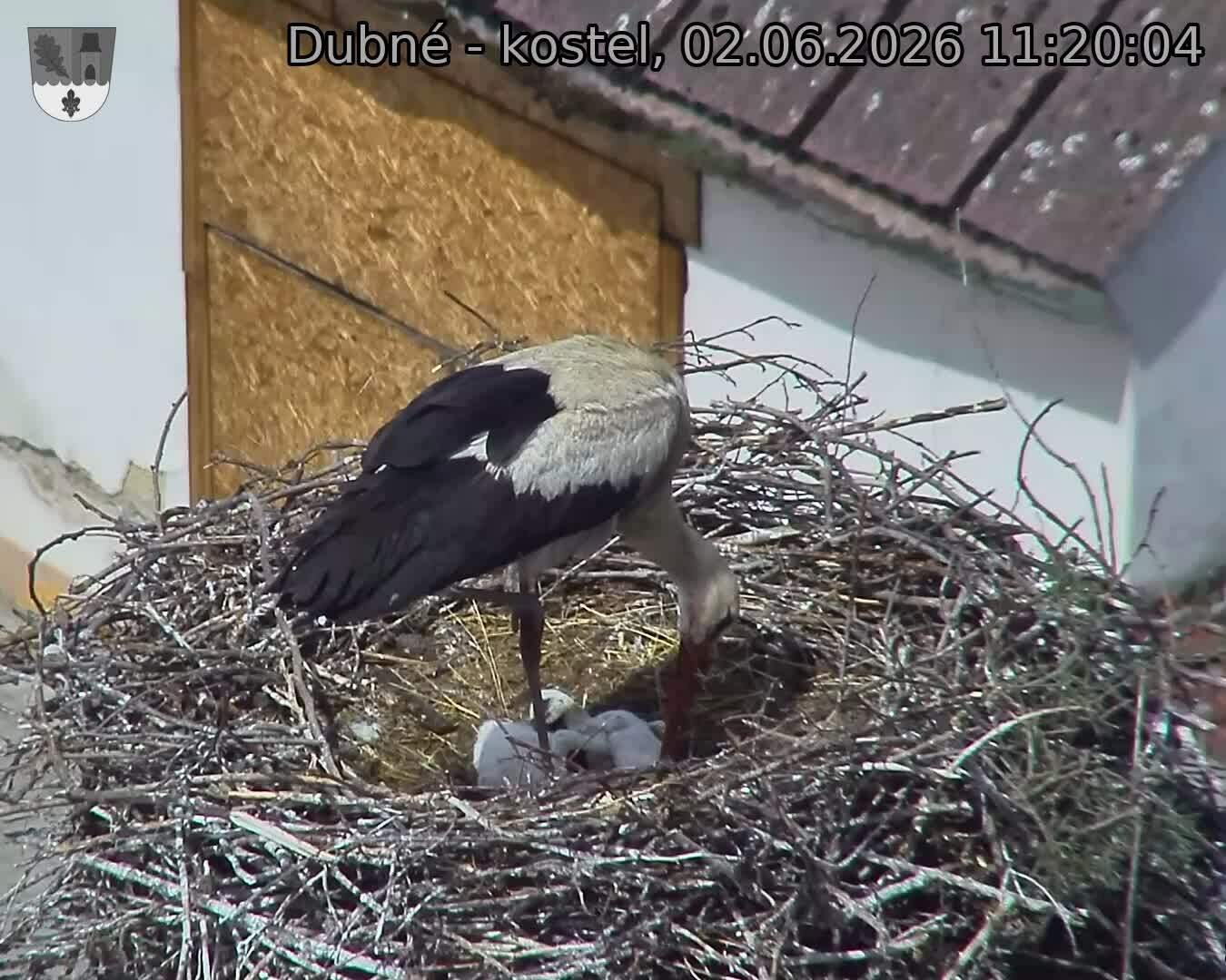 preload