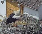 Capi_Dubne_20260602_132503.jpg