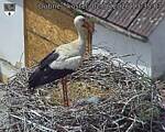 Capi_Dubne_20260602_133503.jpg