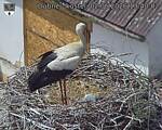 Capi_Dubne_20260602_134002.jpg