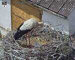 Capi_Dubne_20260602_135003.jpg