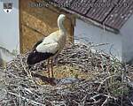 Capi_Dubne_20260602_135502.jpg
