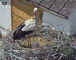 Capi_Dubne_20260602_140002.jpg