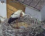 Capi_Dubne_20260602_140503.jpg