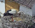 Capi_Dubne_20260602_141503.jpg