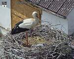 Capi_Dubne_20260602_142503.jpg