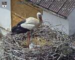 Capi_Dubne_20260602_143504.jpg