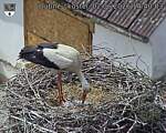 Capi_Dubne_20260602_144003.jpg