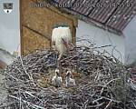 Capi_Dubne_20260602_145503.jpg