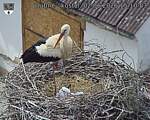 Capi_Dubne_20260602_151003.jpg